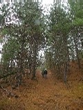 Click to see 29 The Side Trail.jpg
