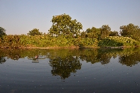 Click to see 10 Saturday Swim.jpg