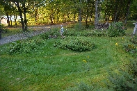 Click to see 13 Lawn Mowing.jpg