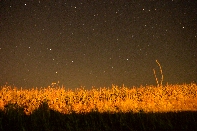 Click to see 18 Saturday Stars.jpg