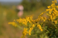 Click to see 22 Sunday Swim.jpg