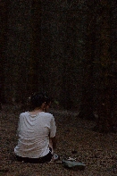 Click to see 32 Forest Sunset.jpg