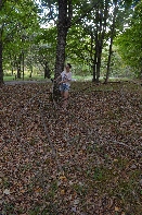 Click to see 40 Monday Cleanup.jpg