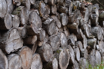 Click to see 02 Gray Wood.jpg