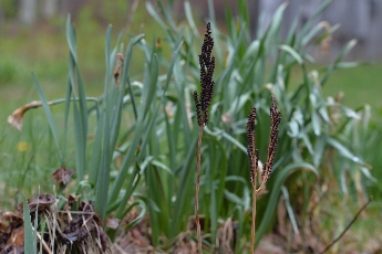 Click to see 10 Leftovers.jpg