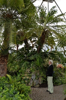 Click to see 39 Under the Dome.jpg