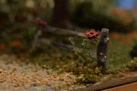 Click to see 08 The Roses.jpg