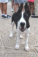 Click to see 23 Bad to the Bone.jpg