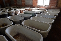 Click to see 27 Tubs.jpg