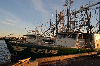 Click to see 34 Mighty Zeus.jpg