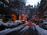 Click to see 17 Snowy Beekman.jpg