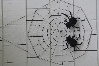 Click to see 03 In the Web.jpg