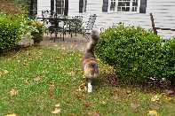 Click to see 07 De Killah.jpg