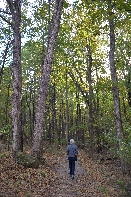 Click to see 22 Sacred Grove 01.jpg