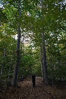 Click to see 23 Sacred Grove 02.jpg