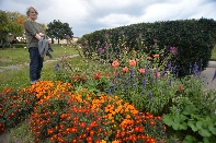 Click to see 29 Rochester Flowers.jpg