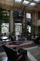 Click to see 39 Elephantine 01.jpg