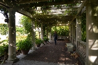 Click to see 46 Eastman Arbor.jpg