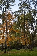 Click to see 67 Dorchester Shiloh.jpg