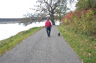 Click to see 81 Moving Along.jpg