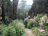 Click to see 024 Murray Canyon 6.JPG