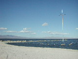 Click to see 089 Salton Sea 2.JPG