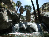Click to see 099 Desert Oasis.JPG