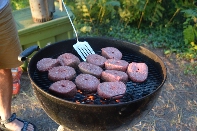 Click to see 045 Food.jpg