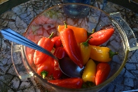 Click to see 046 Foodl.jpg