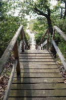 Click to see 095 Walkway.jpg