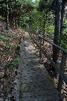 Click to see 096 Walkway.jpg