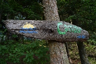 Click to see 097 Campbell Sign.jpg