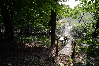 Click to see 098 Beach Stairs.jpg