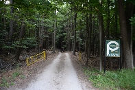 Click to see 133 Into the Woods.jpg