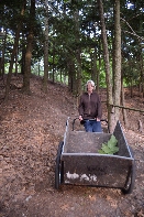 Click to see 137 Downhill.jpg