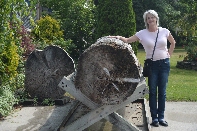 Click to see 148 Big Logs.jpg