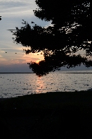 Click to see 164 Sunset.jpg