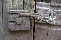 Click to see 195 Still Life.jpg