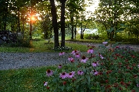 Click to see 196 Golden Hour.jpg