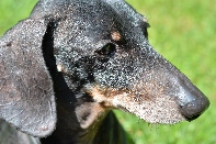 Click to see 199 Shiloh.jpg