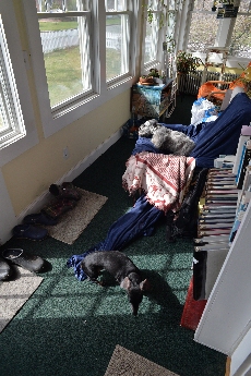 Click to see 02 Happy Campers.jpg