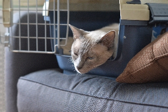 Click to see 03 Almost....jpg