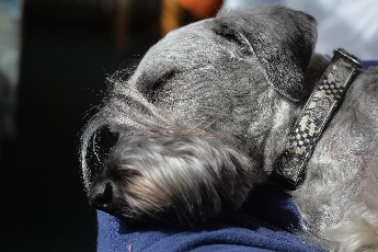 Click to see 05 Crashed Off.jpg