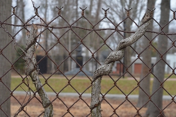 Click to see 09 Other Coils.jpg