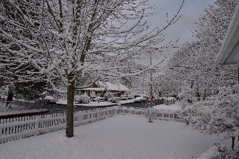 Click to see 10 Spring Snow Before.jpg