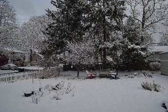 Click to see 14 Spring Snow Before.jpg