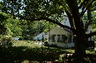 Click to see 12 In the Shade.jpg