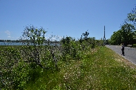 Click to see 14 Walking West Neck.jpg