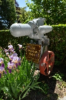 Click to see 16 The Whales Tale.jpg