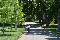 Click to see 21 Empty Streets.jpg